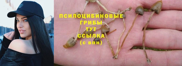 первитин Богородицк